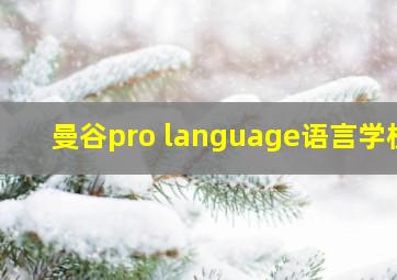 曼谷pro language语言学校